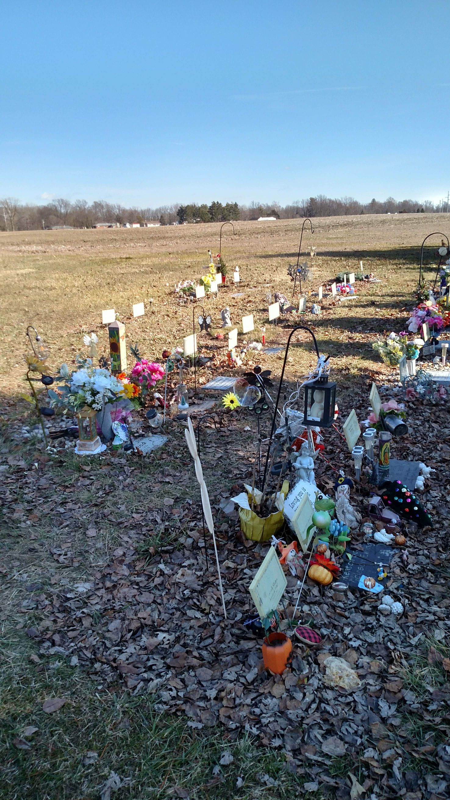 burial area